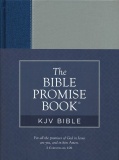 KJV Bible Promise Book Oxford Navy Bible