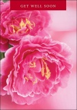 Get Well - Greetings Card (Bright Pink Flowers)