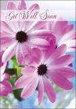 Get Well - Greetings Card (Purple Flowers- Philippians 4:19)