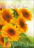 Get Well - Greetings Card (Romans 15:13)