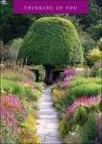 Thinking of You - Greetings Card (Garden Path with Pink Flowers)