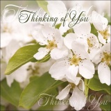 Thinking Of You (White Flowers) - Greetings Card