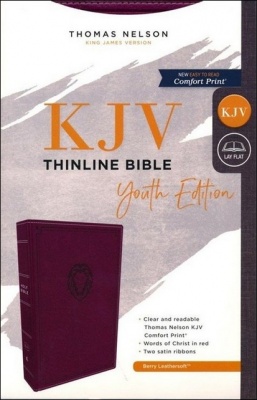 KJV Thinline Youth Purple Lion Edition Bible