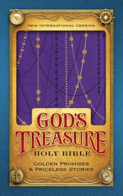 NIV Gods Treasure Amethyst Leasoft Bible