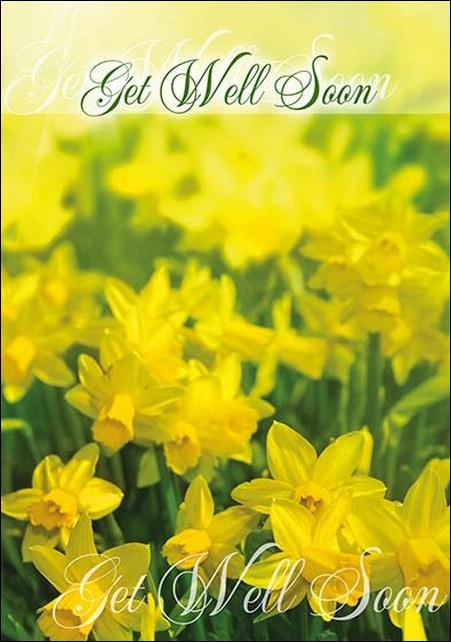 Get Well - Greetings Card (Yellow Tulip Flowers)