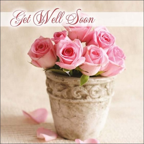 Get Well Soon - Greetings Card (Pink Flowers in Stoneware Pot)