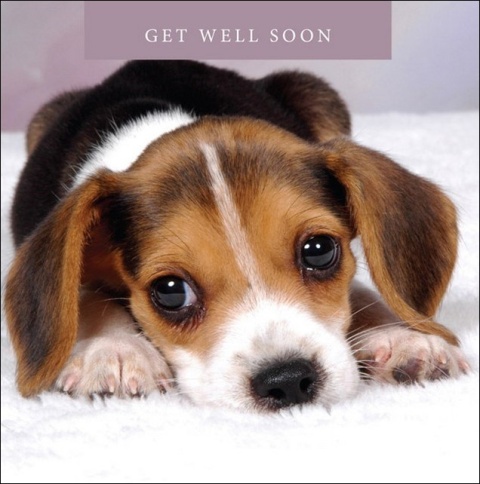 Get Well Soon - Greetings Card (Puppy)