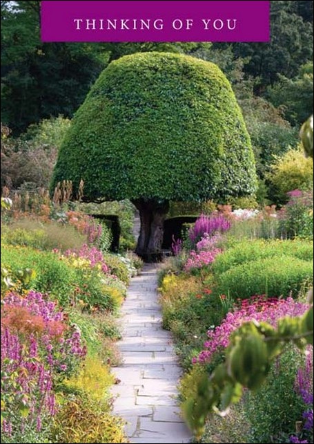 Thinking of You - Greetings Card (Garden Path with Pink Flowers)